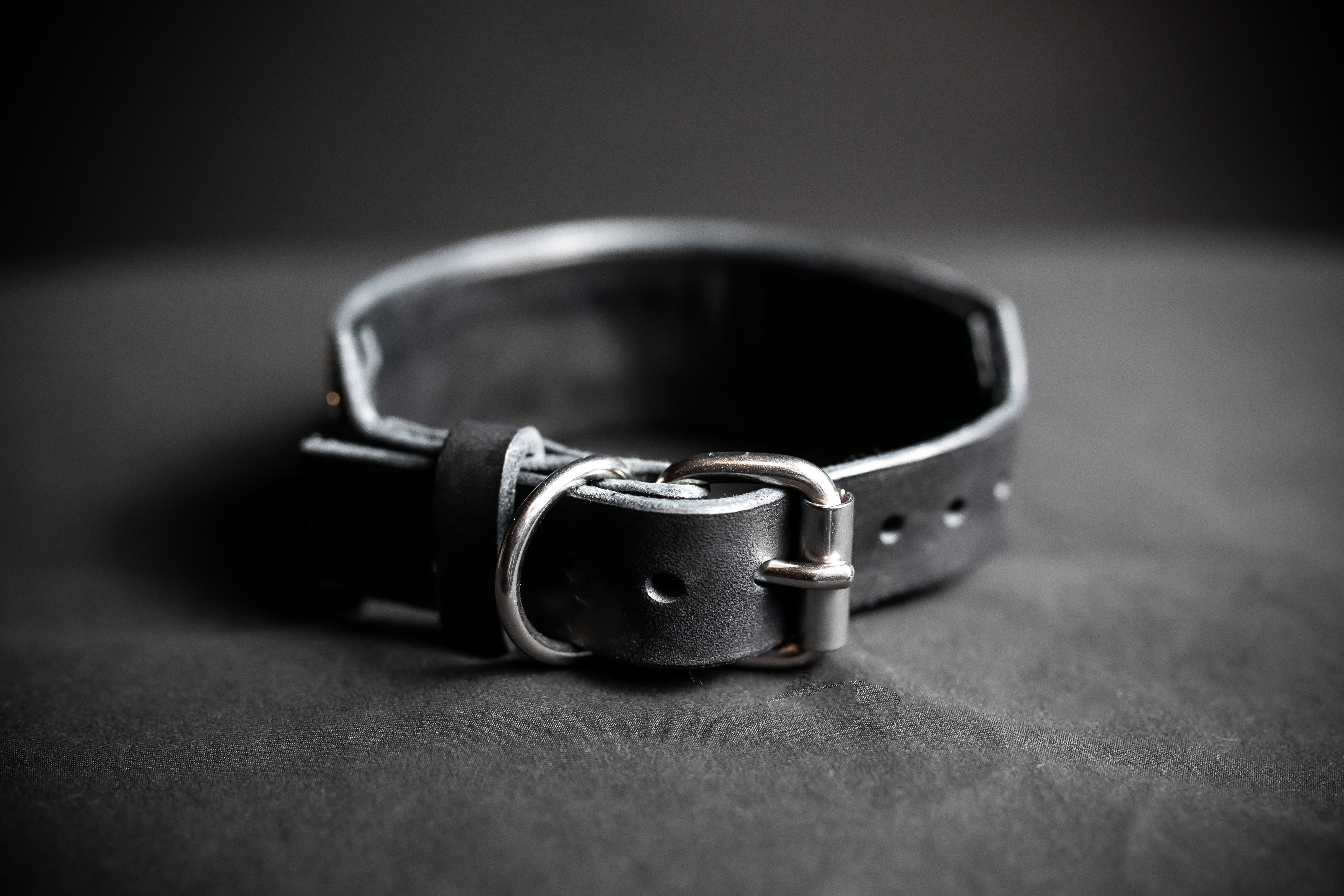 Abgestimmtes Halsband-Leinen-Set
