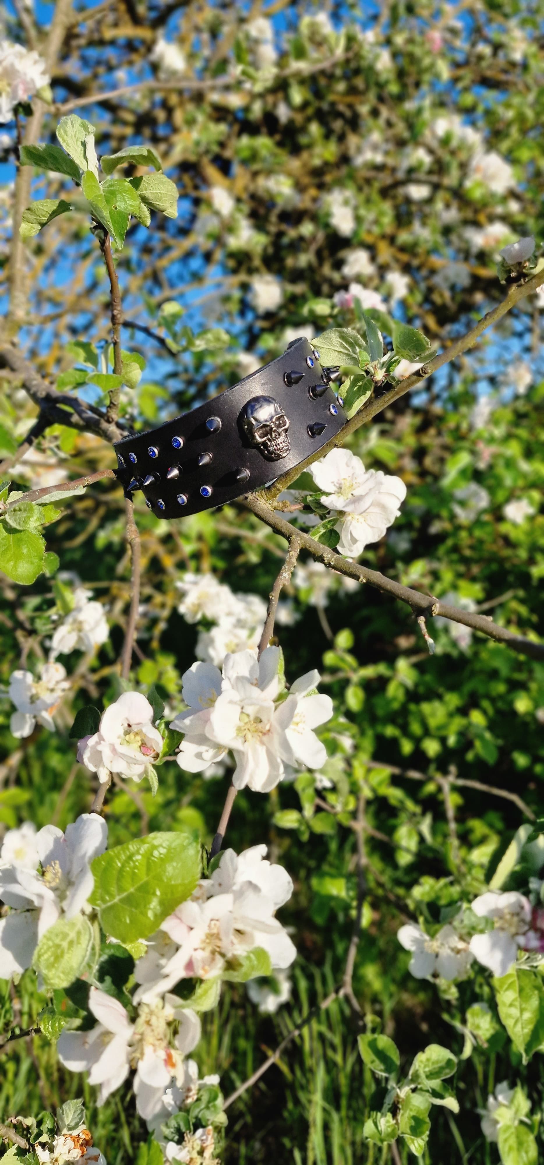 Halsband · Seitenansicht